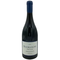 Arnaud Ente - Bourgogne Pinot Noir - 2019