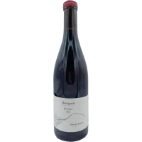 Sylvain Boton - Bourgueil "Racines" - 2022