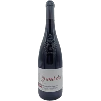 Château de Villeneuve - Saumur-Champigny "Le Grand Clos" - 2021