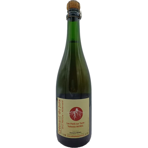 Les Pieds Sur Terre (Valentin Morel) - Crémant du Jura "Alternatif Rosé - 2018 Les Pieds Sur Terre (Valentin Morel) - Crémant du Jura "Alternatif Rosé - 2018