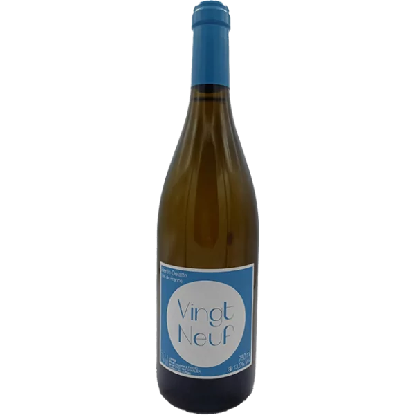 Domaine Bertin-Delatte - Vingt Neuf - 2022 Domaine Bertin-Delatte - Vingt Neuf - 2022