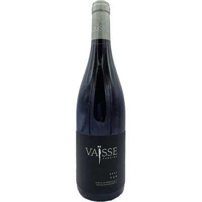 Pierre Vaisse - Pur - 2021