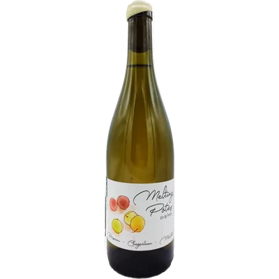 Boisseau-Chagnoleau-Maillet - Savagnin "Melting Potes" - 2022