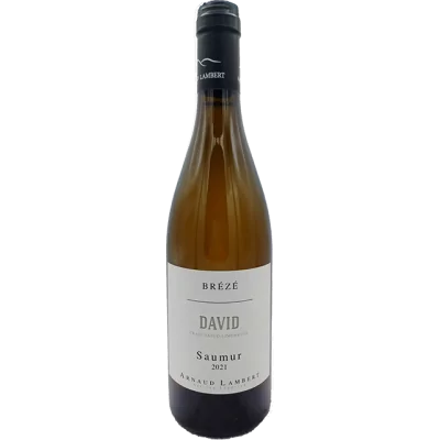 Arnaud Lambert - Saumur blanc "Clos David" - 2021