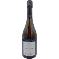 Simon Rion - Champagne Extra-Brut "Les 2 Parcelles" - 2020