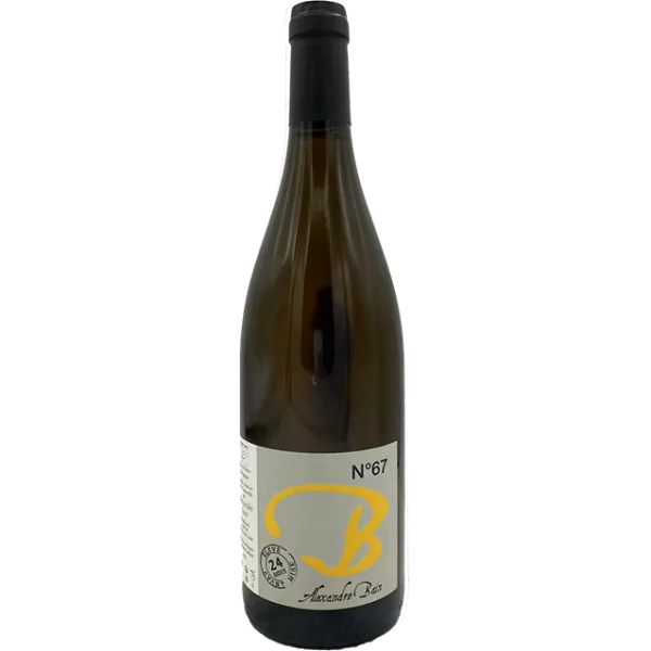 Alexandre Bain - N67- 2021 Alexandre Bain - N67- 2021