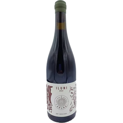 Domaine Amama - Irouléguy Rouge "Iluni" - 2022