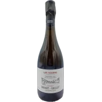Domaine Dhondt-Grellet - Champagne Grand Cru "Les Nogers" - 2019