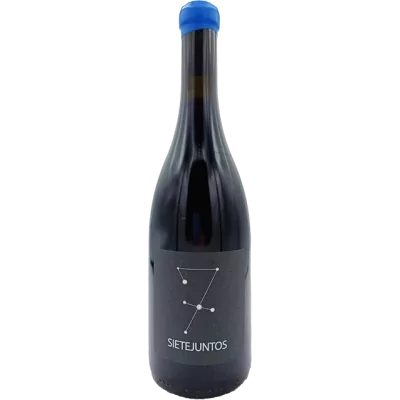 Ismael Gozalo-Microbio Wines  - Sietejuntos Tempranillo Terroir - 2019