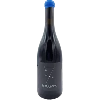Ismael Gozalo-Microbio Wines  - Sietejuntos Tempranillo Terroir - 2019