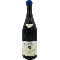 Dureuil-Janthial - Rully 1er Cru Rouge "Chapitre" - 2022