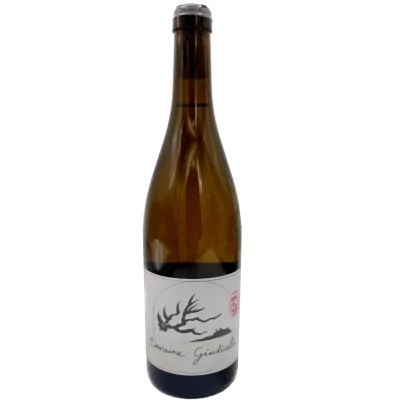 Muriel Giudicelli - Patrimonio Blanc - 2023