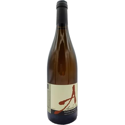 Alexandre Bain - Terre d'Obus - 2022