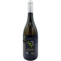 Domaine Delobel - Touraine Sauvignon "Angle Droit" - 2023