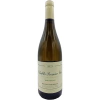 Domaine Bessin Tremblay - Chablis 1er Cru "Montmains" - 2023