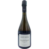 Adrien Renoir - Champagne Grand Cru Verzy "Les Montants" - 2020