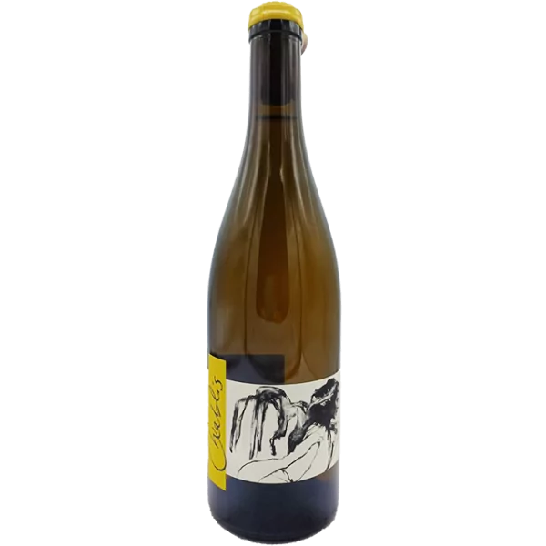 Domaine Pattes-Loup - Chablis Vent d'Anges - 2022