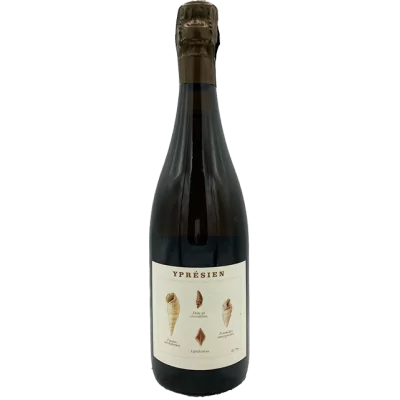 Legrand-Latour - Yprésien - R20