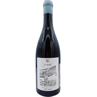 Domaine Pierre Girardin - Savagnin "Le Noyer" - 2022