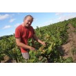 Guillaume Lavie
