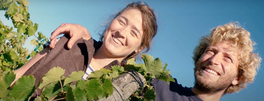 L'Austral, domaine bio à Saumur